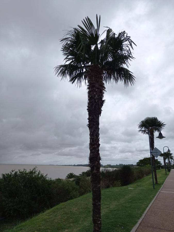 Monoambiente En Colonia Leilighet Colonia del Sacramento Eksteriør bilde